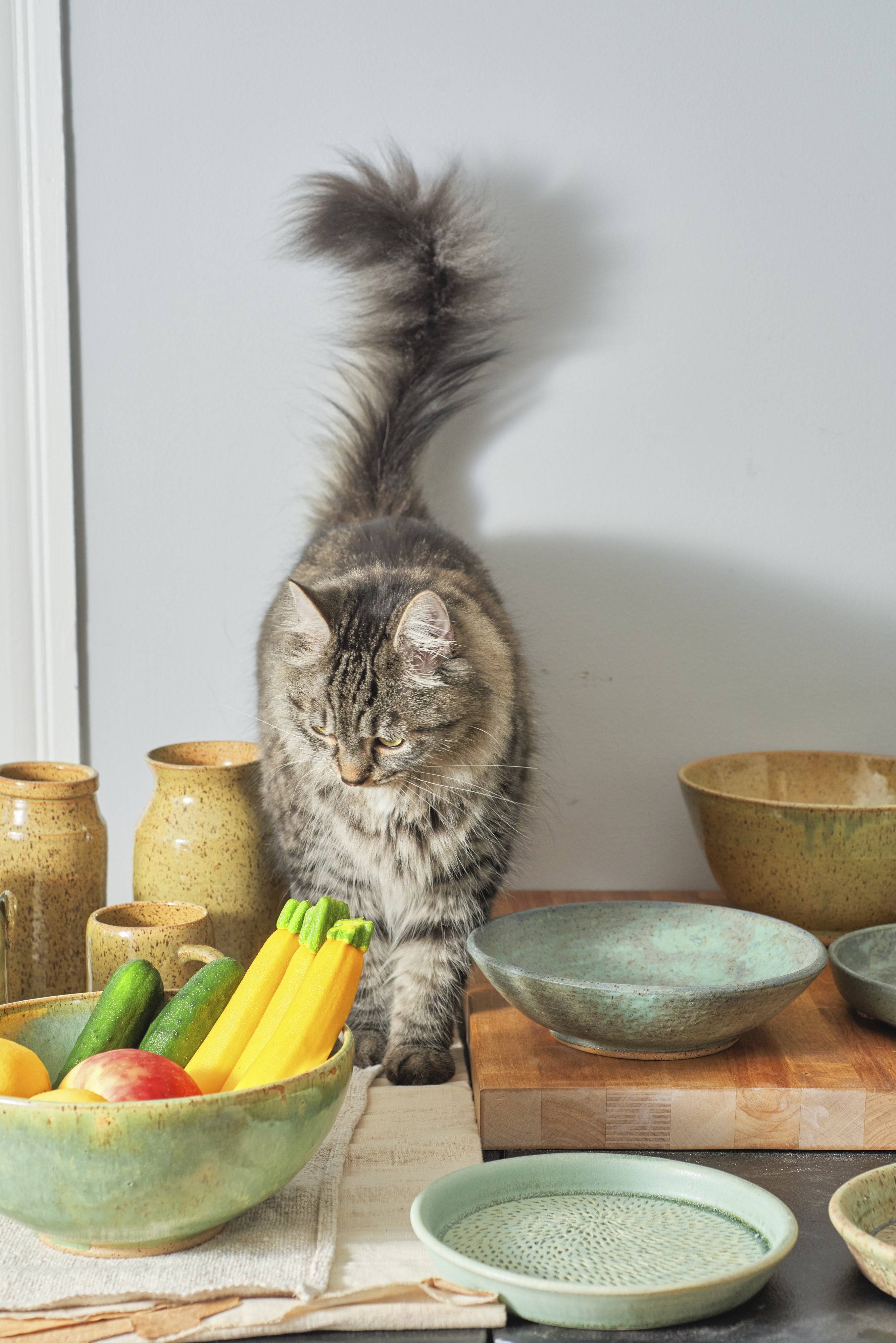 Cat standing on a kitchen counter with various handmade ceramic bowls with vegetables