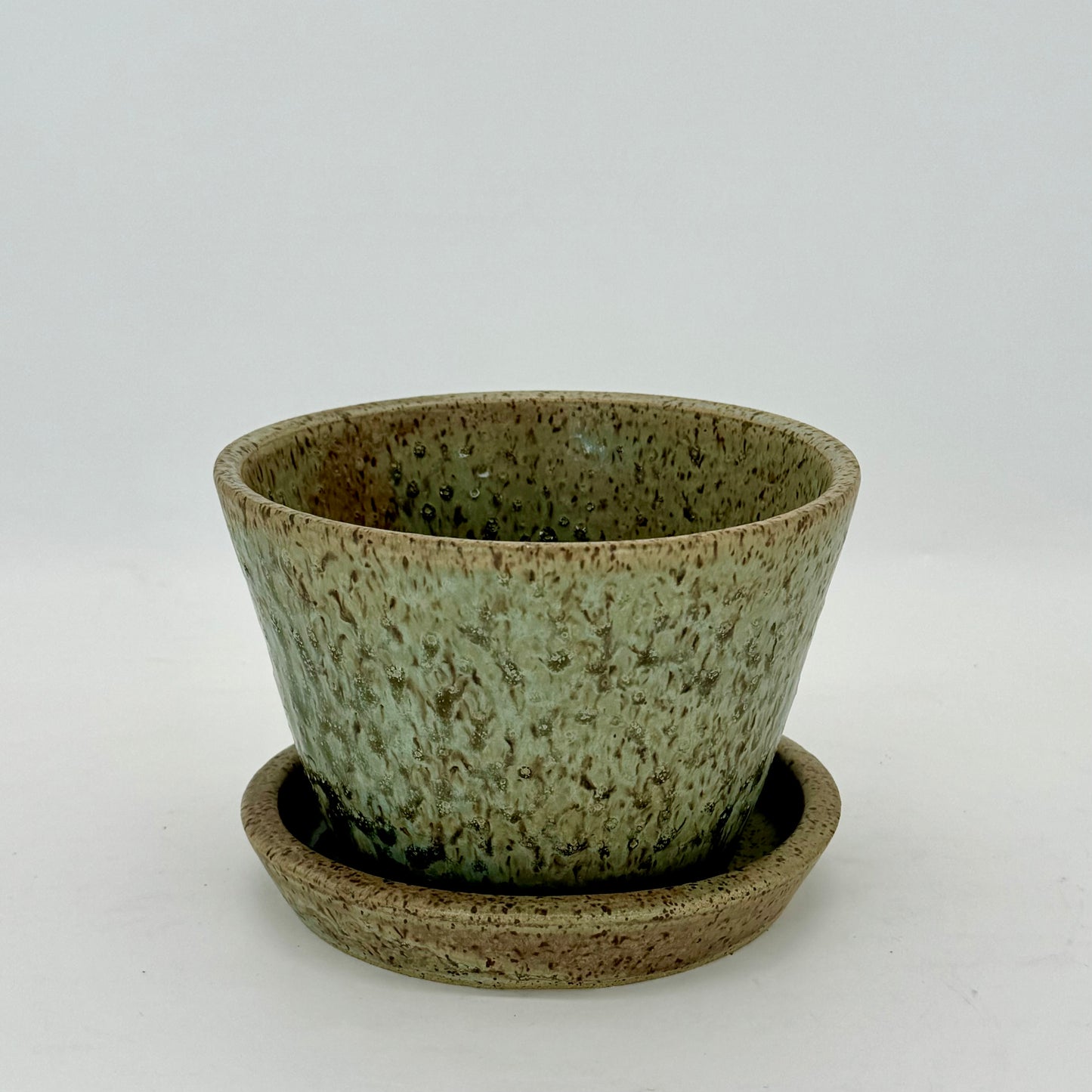 Seaweed Flower Pot and Plate - Medium