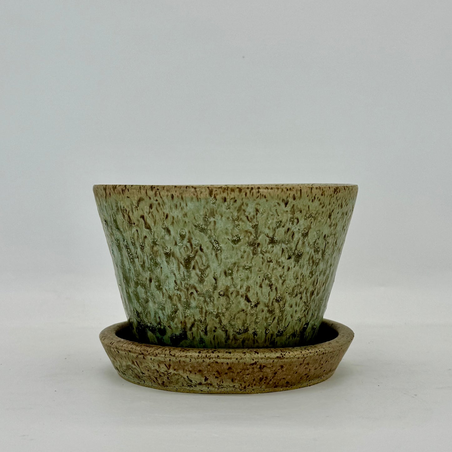 Seaweed Flower Pot and Plate - Medium