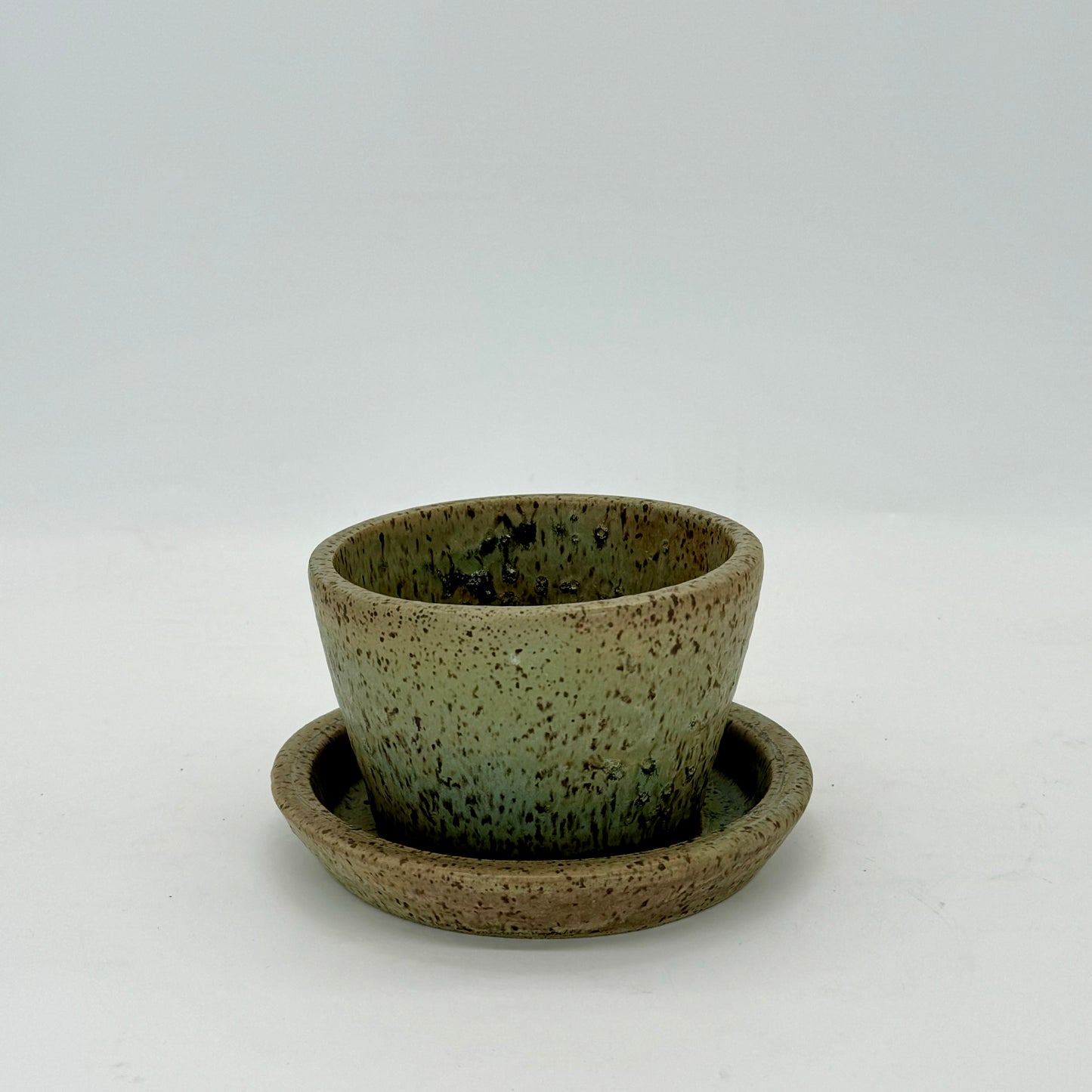 Seaweed Flower Pot and Plate - Small