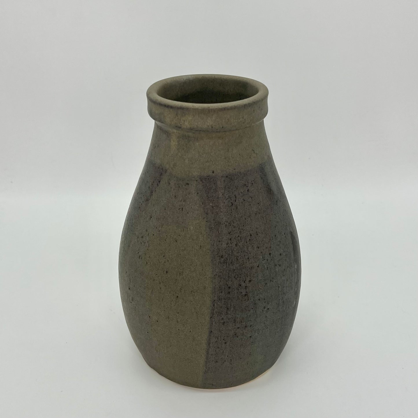 Rotund Vase in Pussywillow