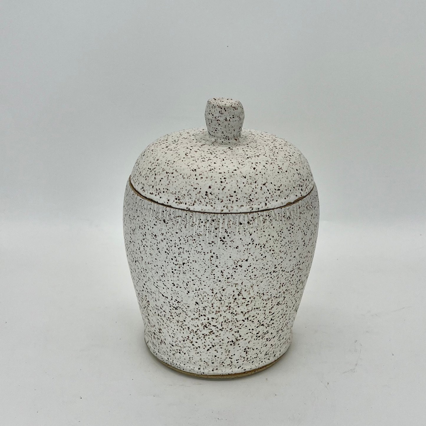 Speckled White Canister