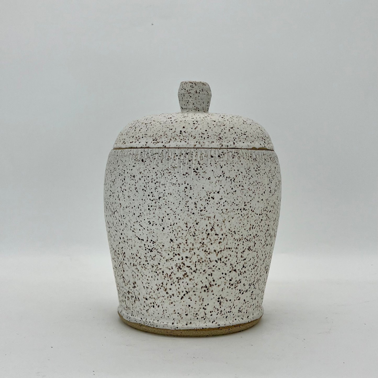 Speckled White Canister