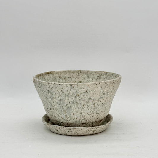 Sea Salt Planter